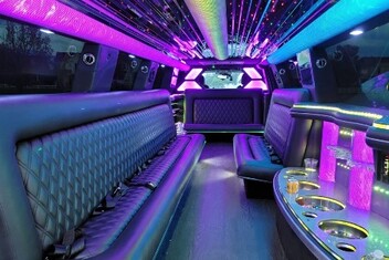 Ogden Limo Interior